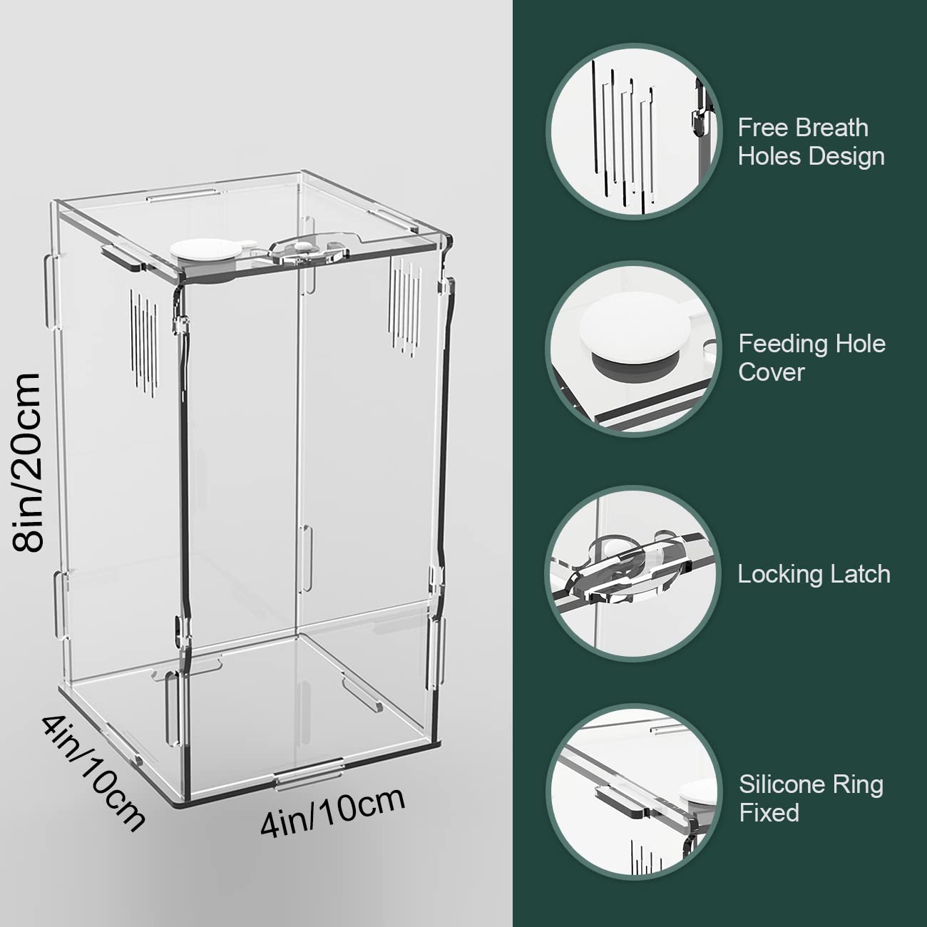 BETAZOOER terrario acrílico mini, ventilación lateral 1-2mm para aire constante.