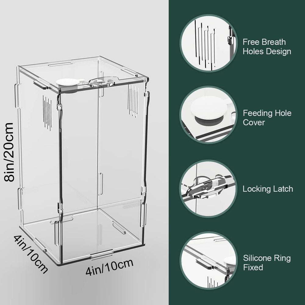 BETAZOOER terrario acrílico mini, ventilación lateral 1-2mm para aire constante.