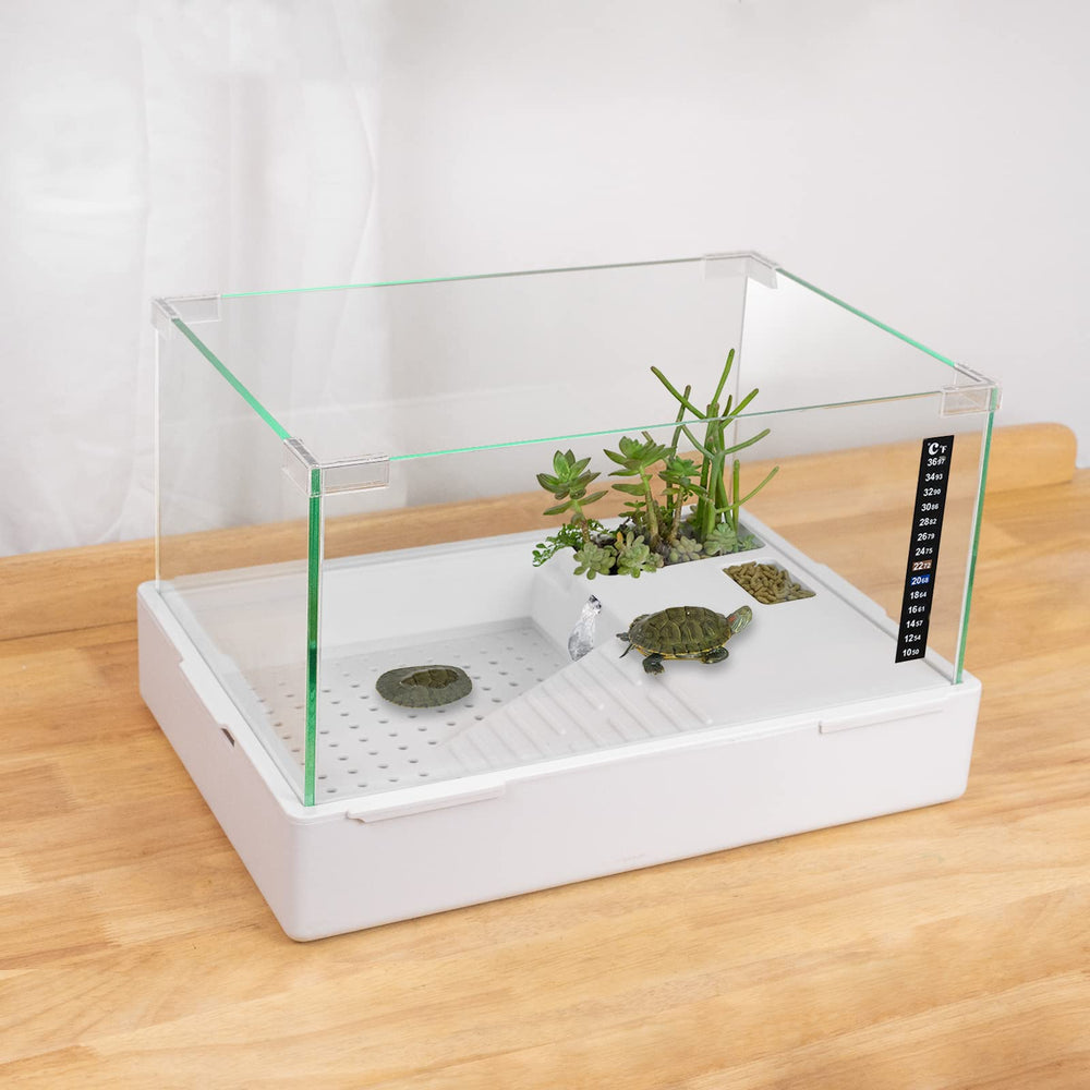 BETAZOOER Turtle-1, vidrio transparente, vista frontal, opción decorativa elegante.