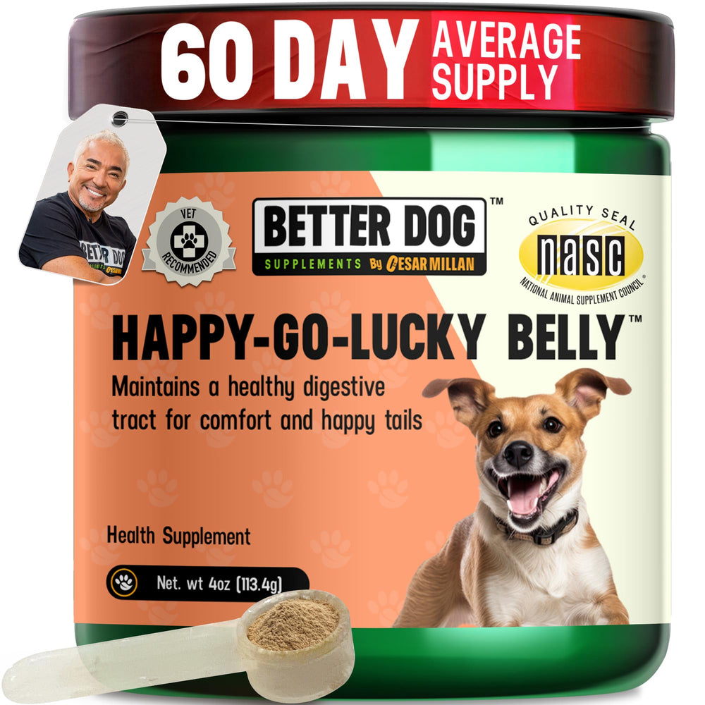 Better Dog Supplements By Cesar Millan: Happy-Go-Lucky Belly, vertido de polvo desde la botella para uso diario.