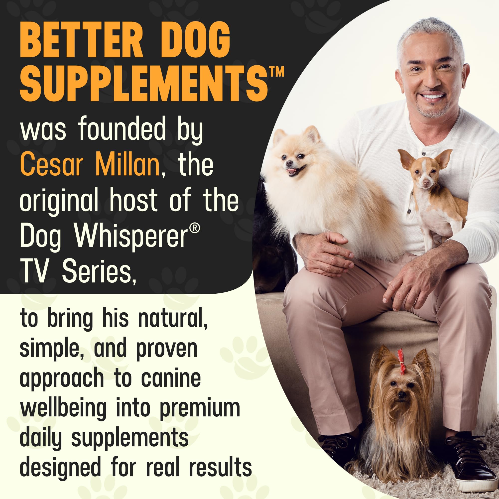 Better Dog Supplements By Cesar Millan: Happy-Go-Lucky Belly, cuchara de medición lista para mezclar.