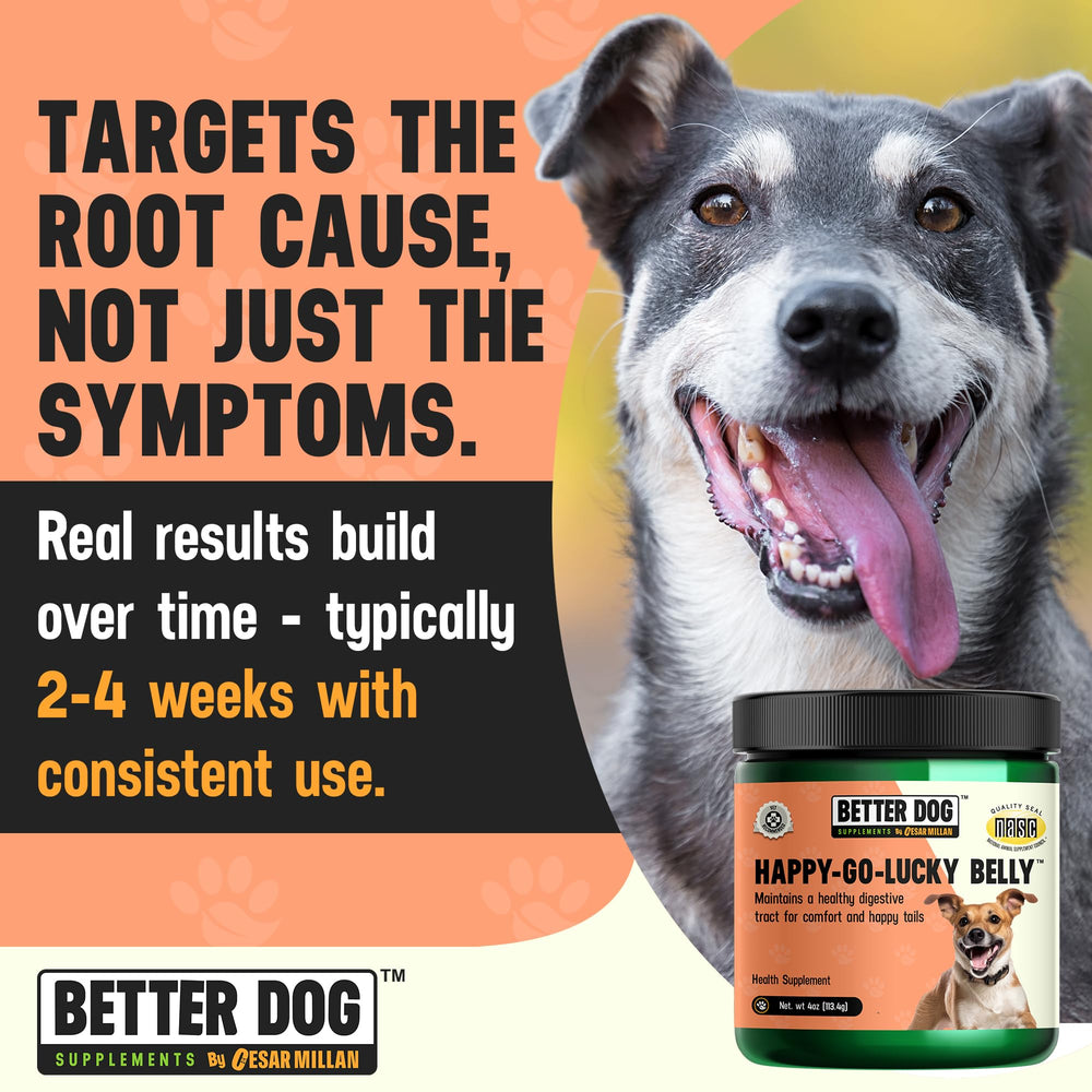 Better Dog Supplements By Cesar Millan: Happy-Go-Lucky Belly, mezcla herbal de fibras para equilibrio intestinal.