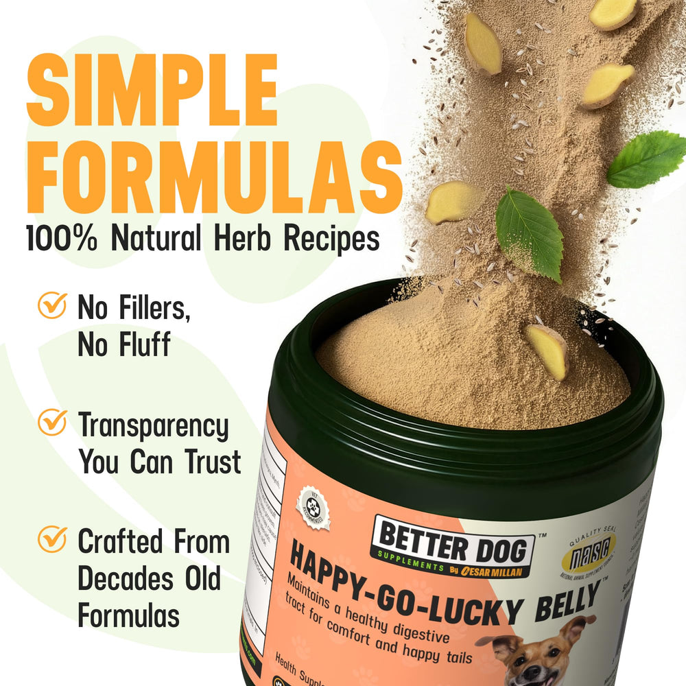 Better Dog Supplements By Cesar Millan: Happy-Go-Lucky Belly, perro tranquilo tras tomar el suplemento.