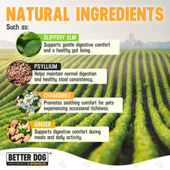 Better Dog Supplements By Cesar Millan: Happy-Go-Lucky Belly, polvo digestivo para apoyo diario.