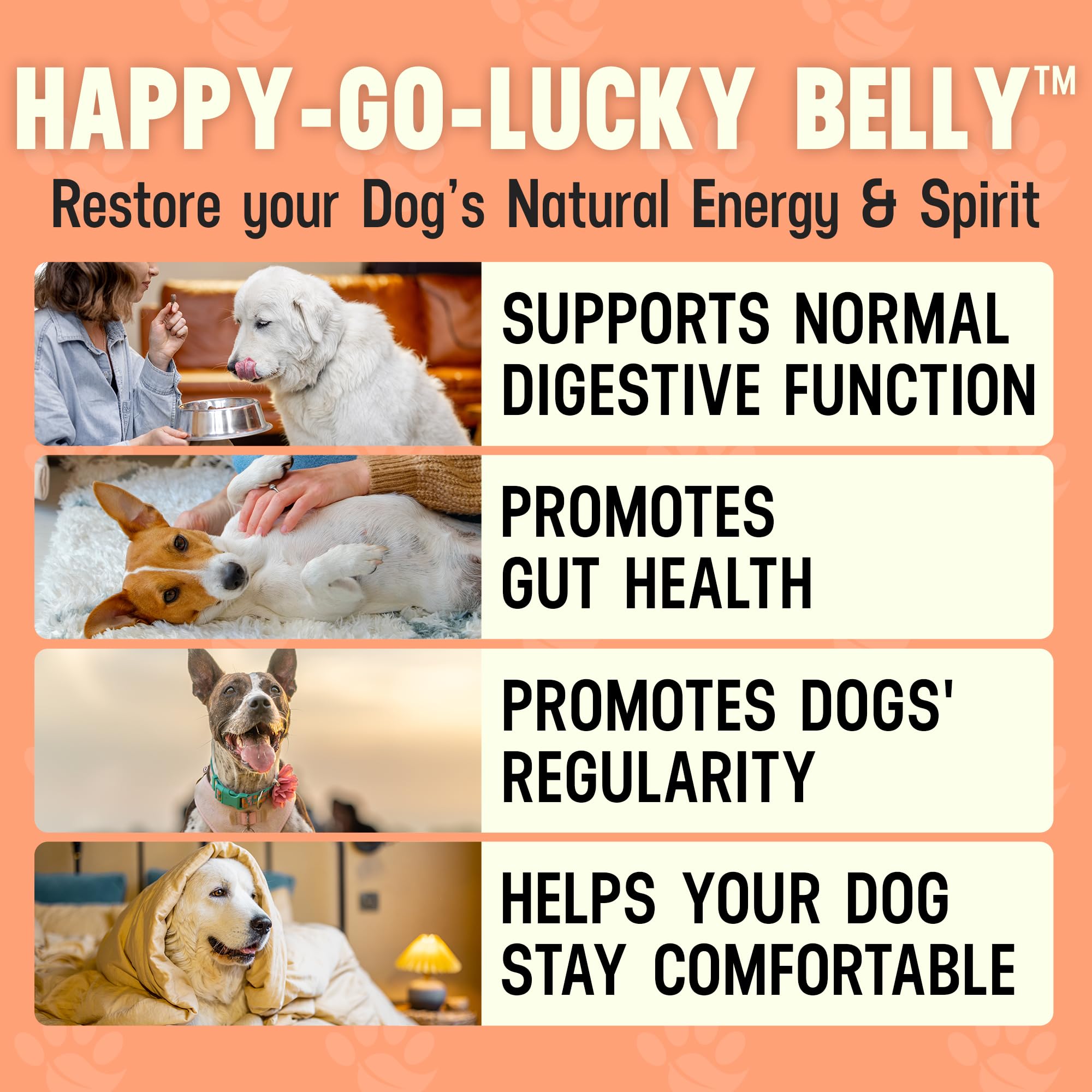 Better Dog Supplements By Cesar Millan: Happy-Go-Lucky Belly, tarro de 4 oz listo para uso.