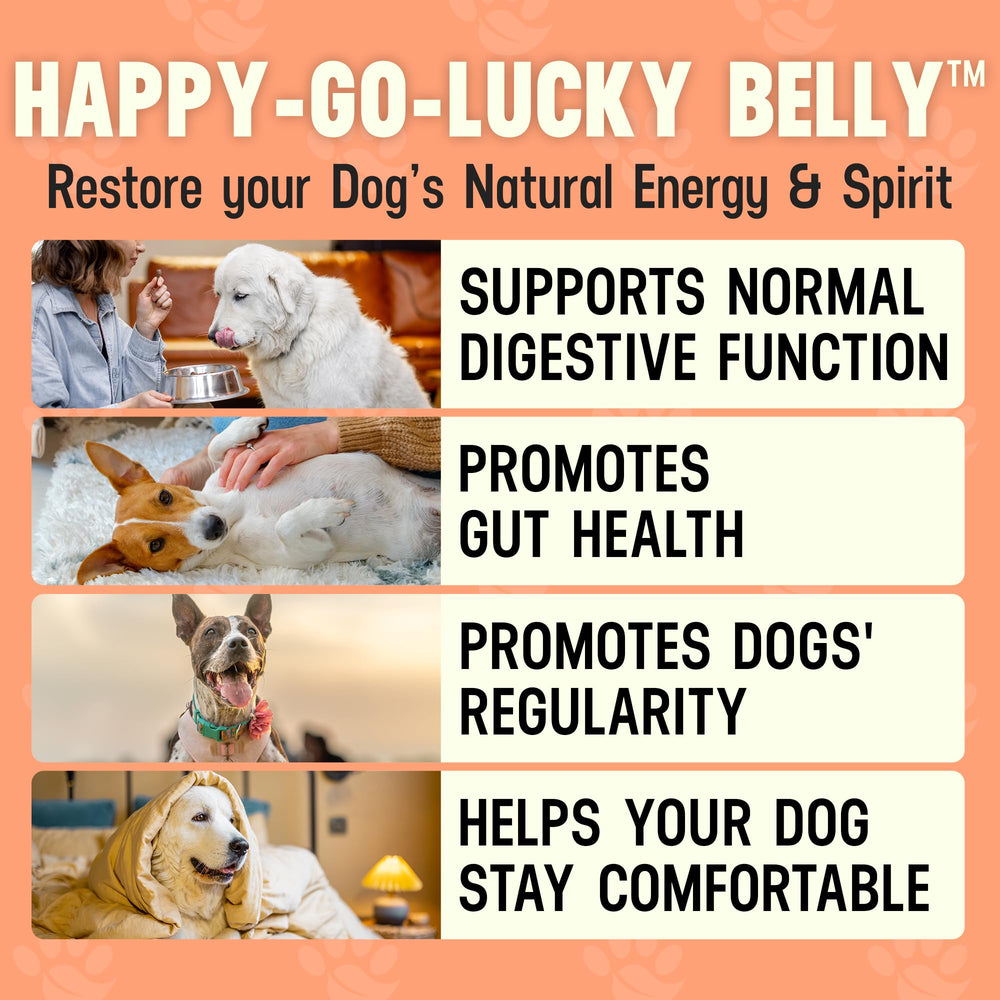Better Dog Supplements By Cesar Millan: Happy-Go-Lucky Belly, tarro de 4 oz listo para uso.
