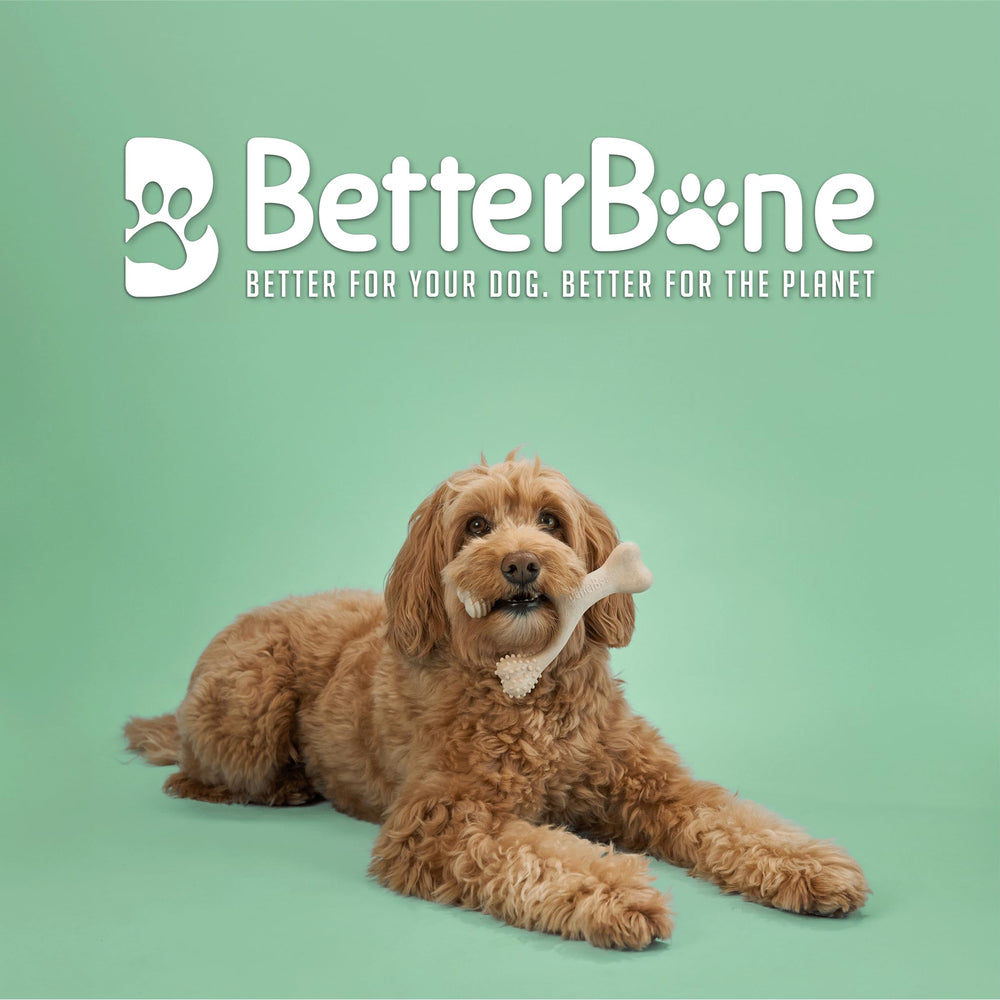 BetterBone libre de fibra sintética, con celulosa y aceite vegetal de calidad.