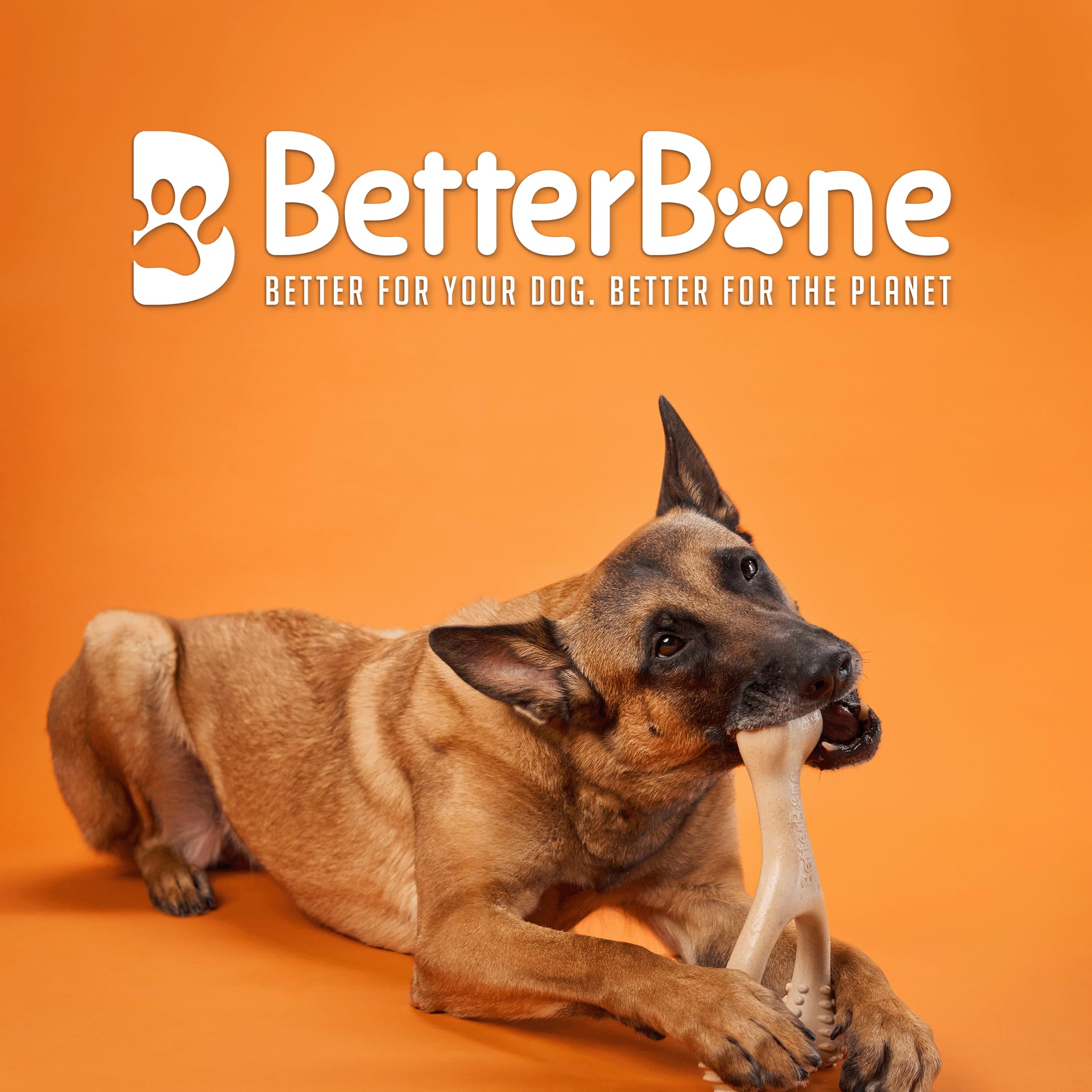BetterBone Sin Nylon: mezcla de celulosa y aceite vegetal, opción no tóxica.