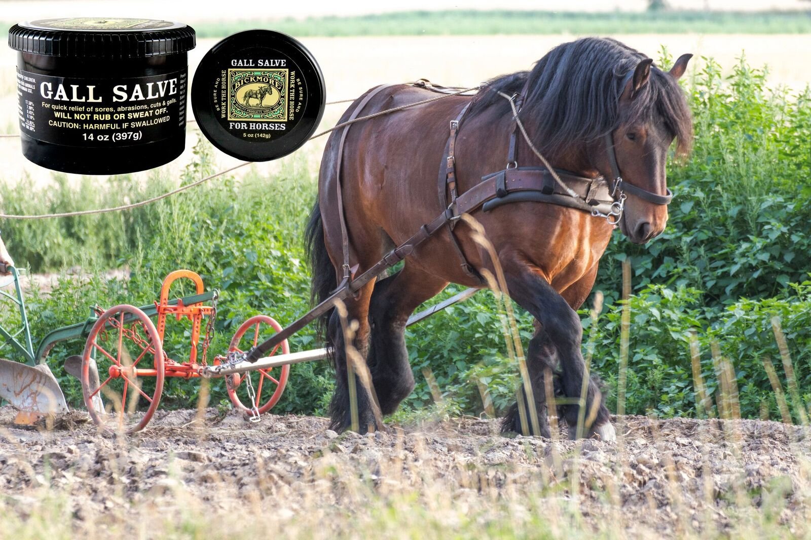 Bickmore Gall Salve resiste al calor, ideal para días de trabajo