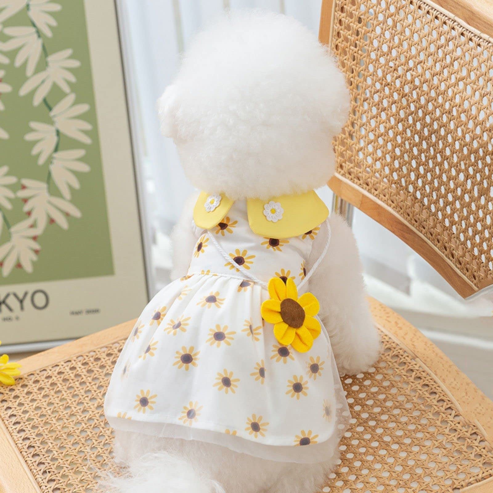 BIECWIAY vestido para celebraciones; ideal para fiestas y sesiones de fotos