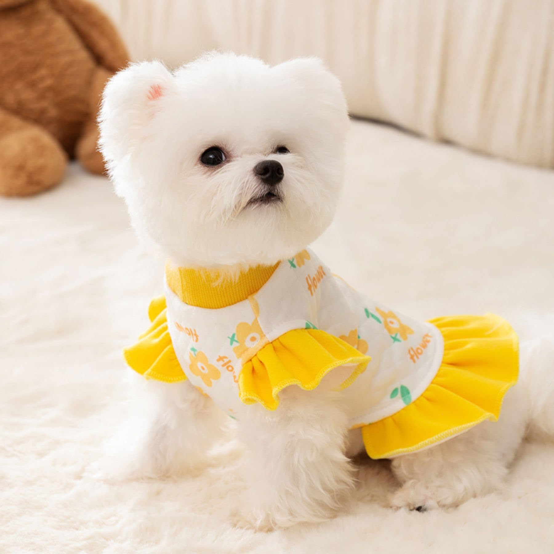 BIECWIAY detalle de bolso cruzado para perro, añade practicidad al outfit.