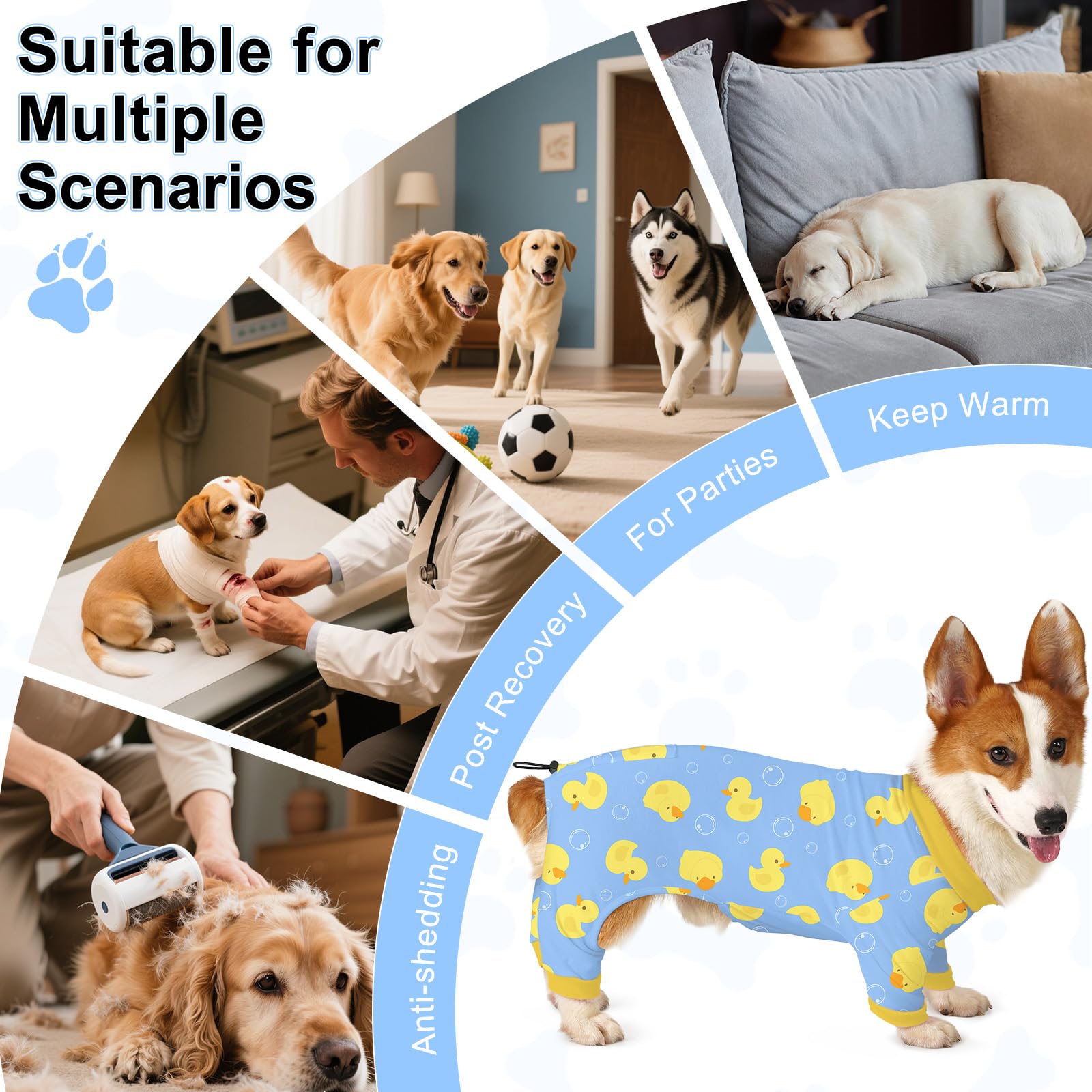 Bienbee Pijamas para Perro pack colores: conjunto de 4 prendas para combinar
