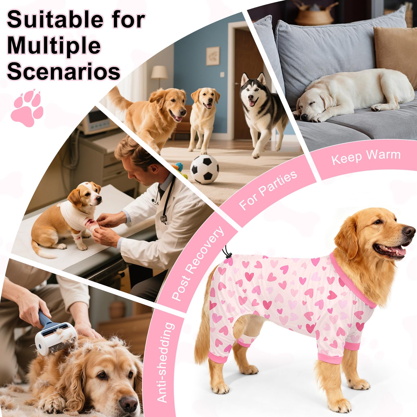 Bienbee Pijamas para Perros, ideales para uso diario y sesiones de fotos.