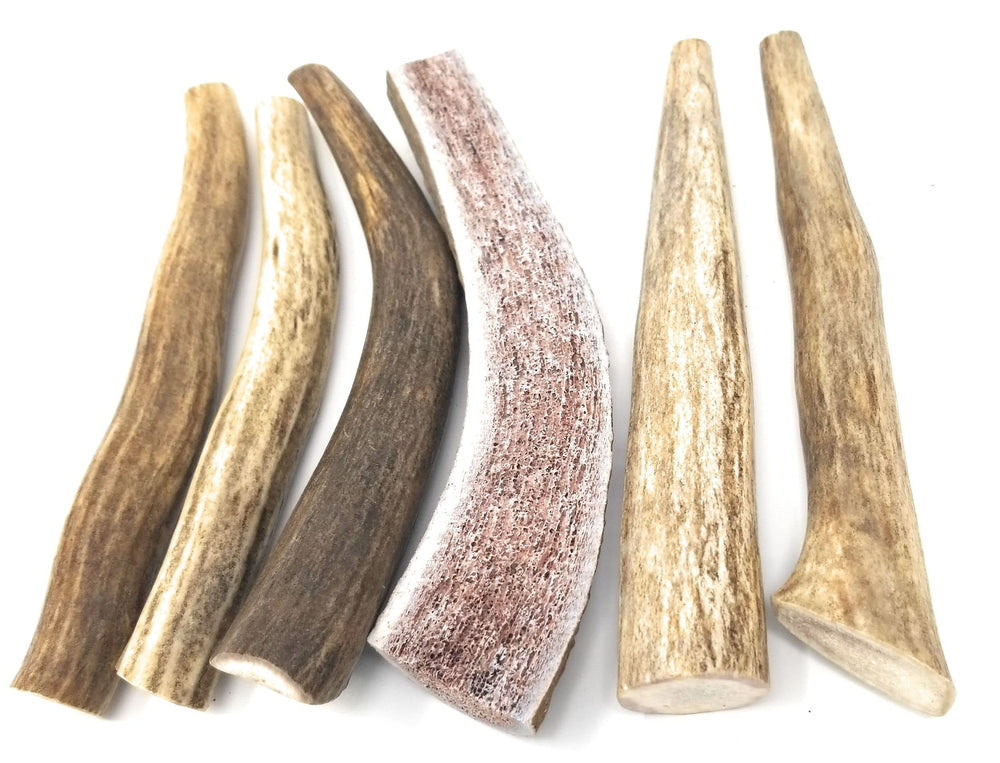 Big Dog Antler Chews: apoyo dental para el control del sarro.