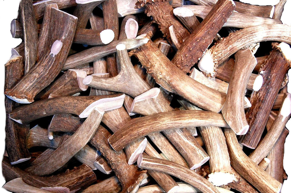 Big Dog Antler Chews: asta de ciervo de 6 pulgadas para masticar duradero y limpio.