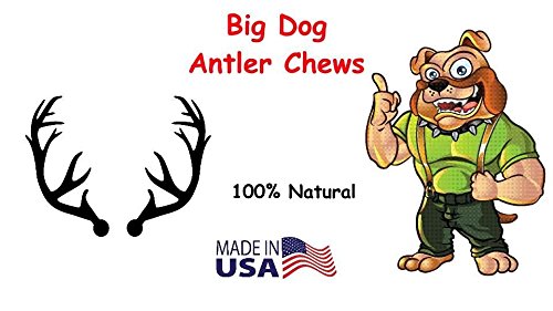Big Dog Antler Chews mordedor-asta-ciervo-xl-calcio-natural y minerales
