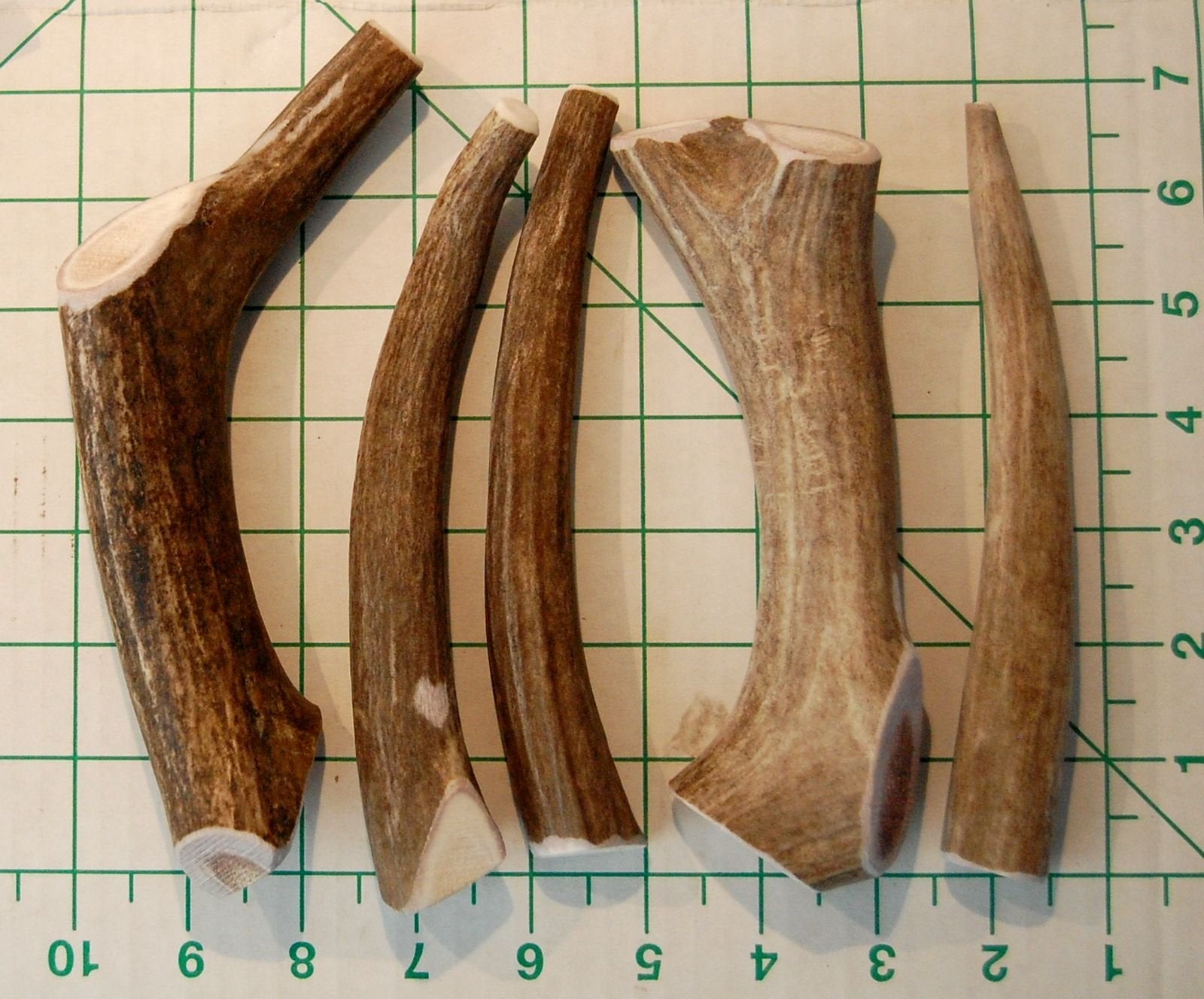Big Dog Antler Chews: no deja olor ni grasa en suelos.