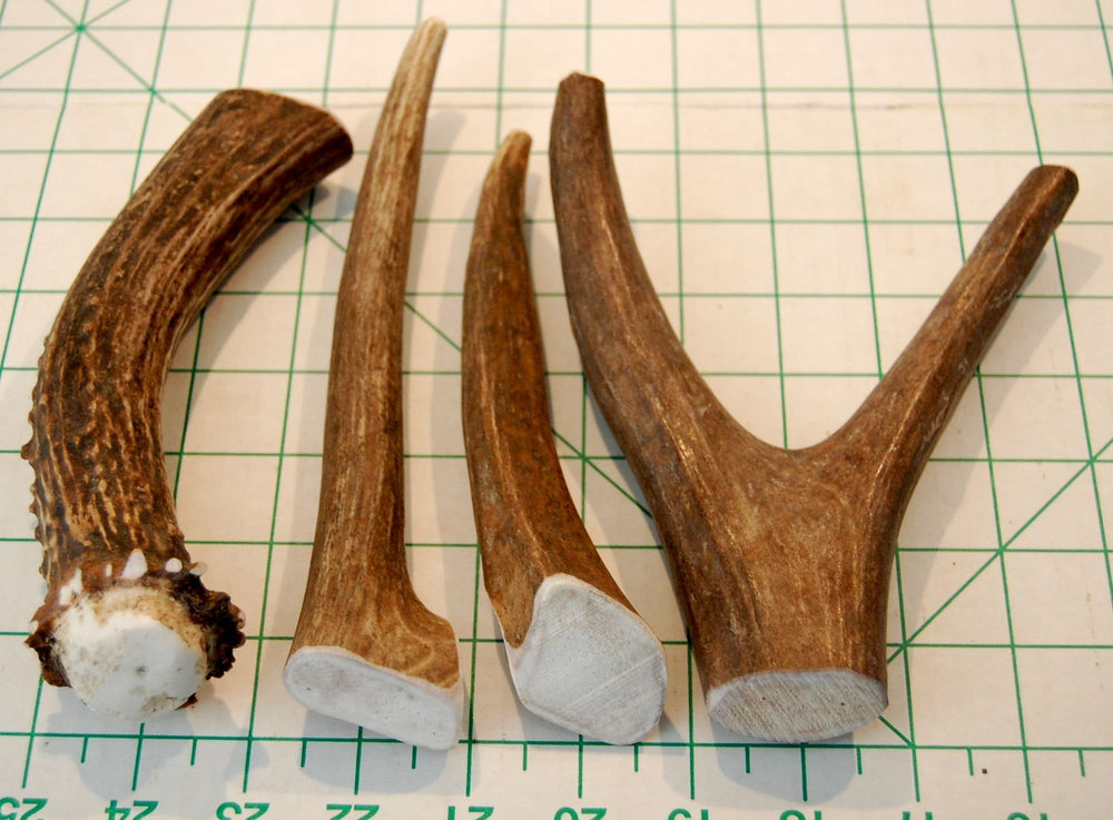 Big Dog Antler Chews: fuente natural de calcio y fósforo para dientes y huesos.