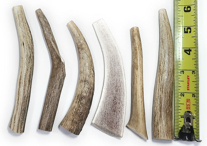 Big Dog Antler Chews: conjunto de 6 piezas para perros pequeños, masticación segura y duradera.