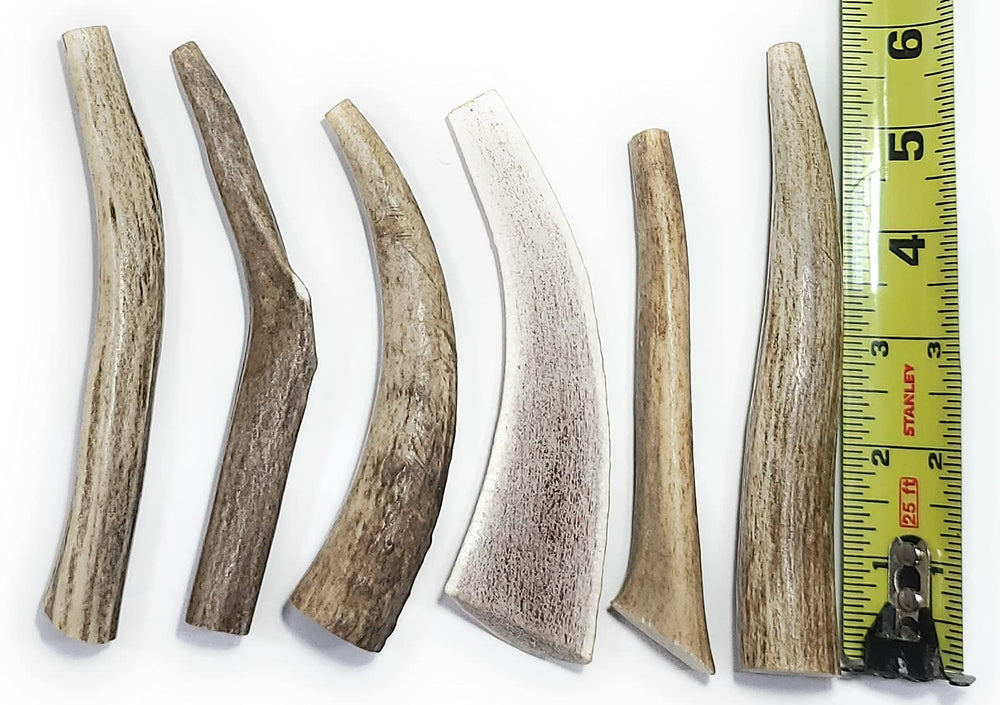Big Dog Antler Chews: conjunto de 6 piezas para perros pequeños, masticación segura y duradera.