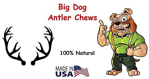 Big Dog Antler Chews: uso interior sin olor ni grasa.