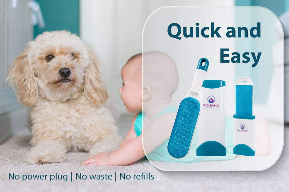 Empaque ecológico de Big Bang Paws, opción sostenible