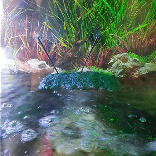 BigTron Minidiva acuario seguro, no altera la calidad del agua.