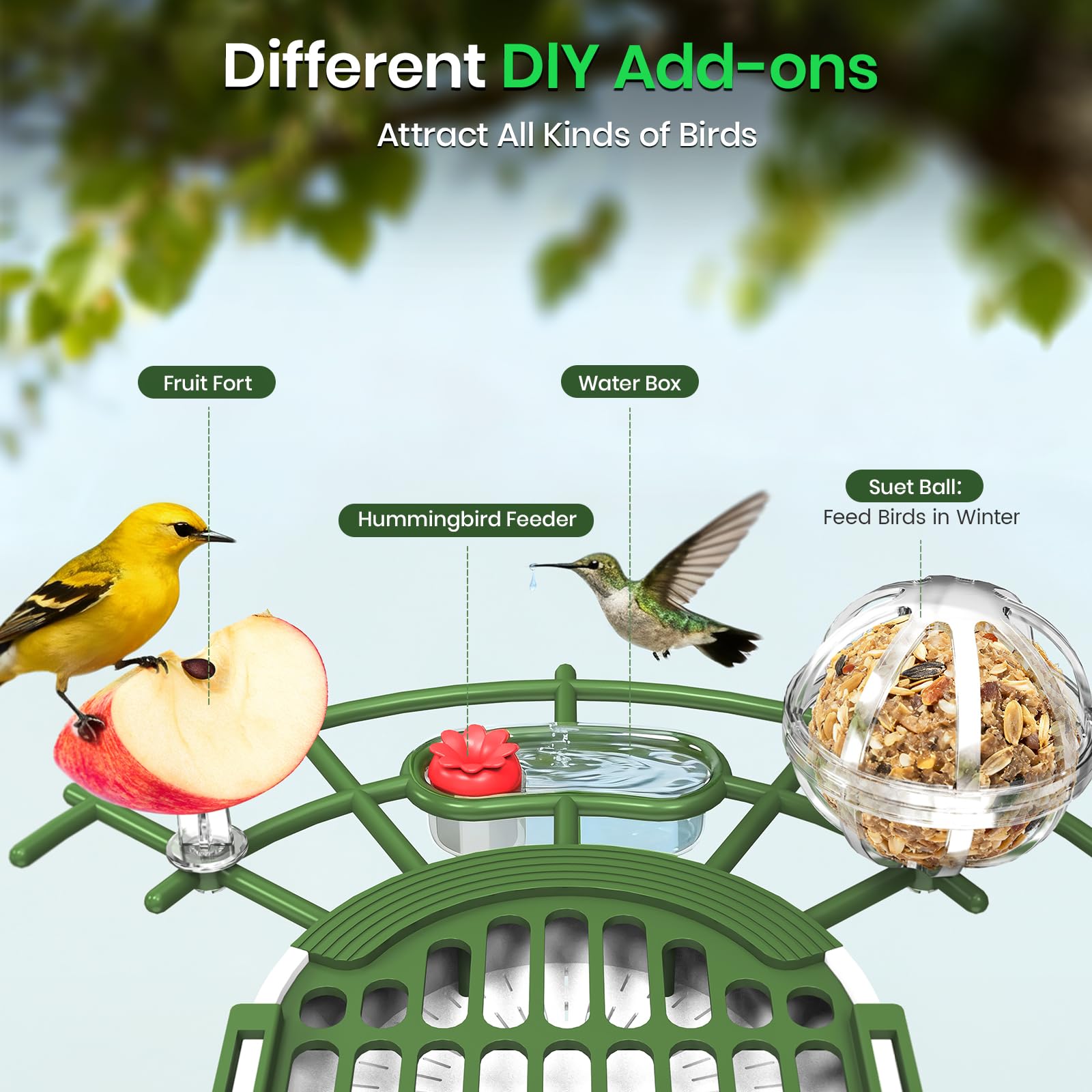 Bilibara comedero, drenaje inferior, mantiene las semillas secas para las aves.