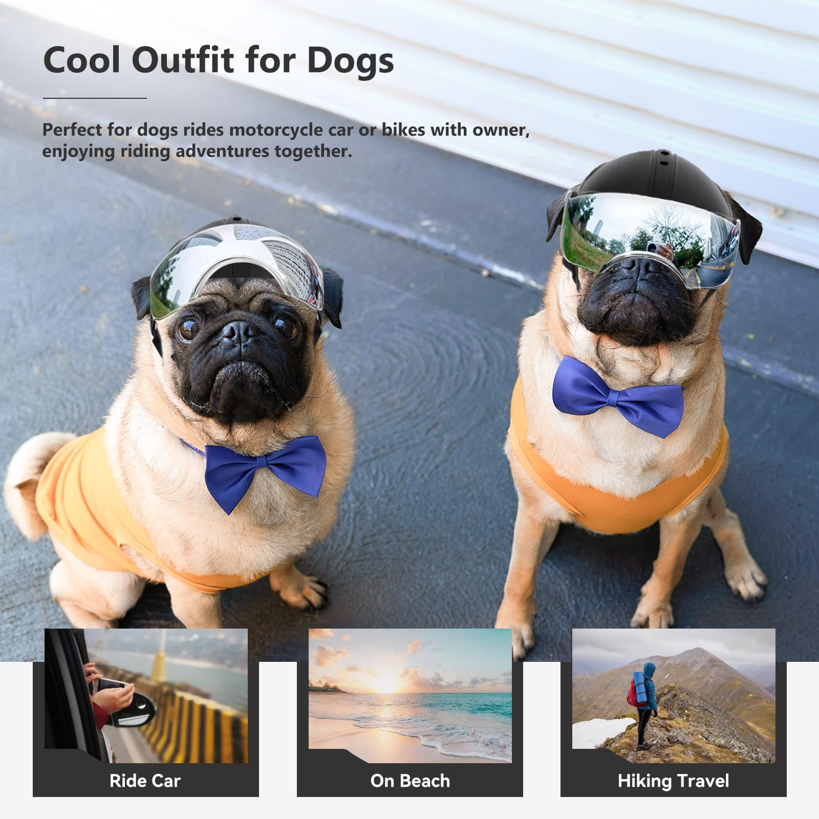 Estilo moderno de Billionchains para perros pequeños, aspecto atractivo