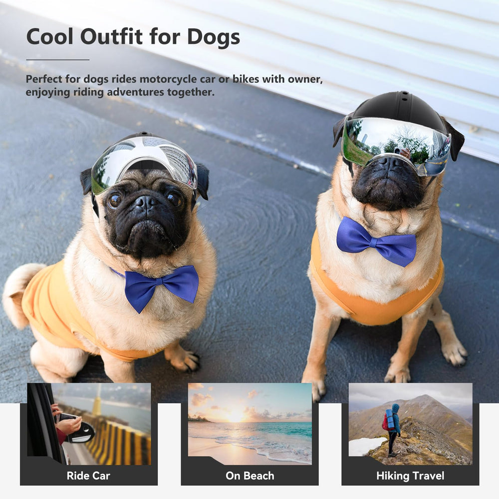 Estilo moderno de Billionchains para perros pequeños, aspecto atractivo