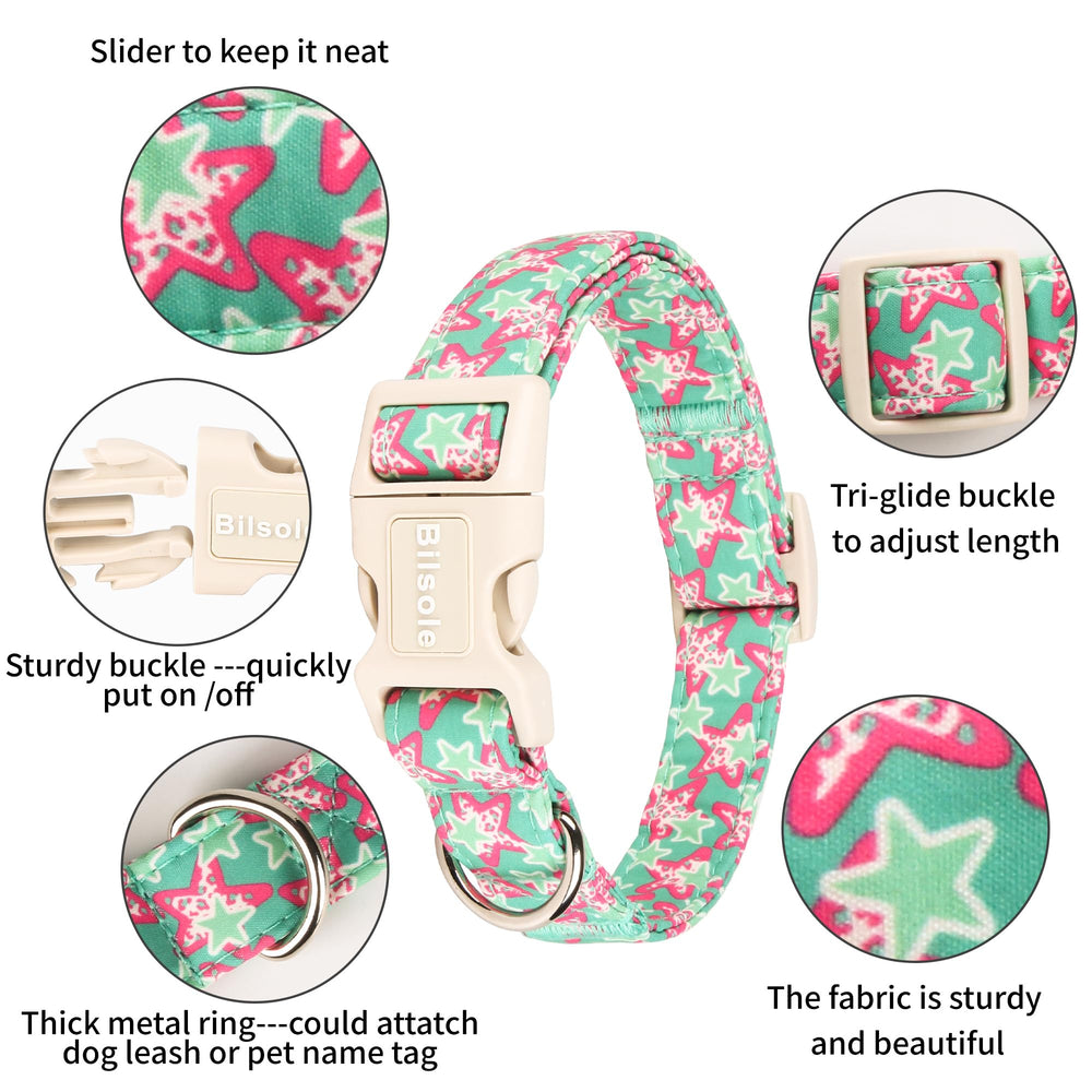 Bilsole collar con anilla D para etiqueta, práctica y segura.
