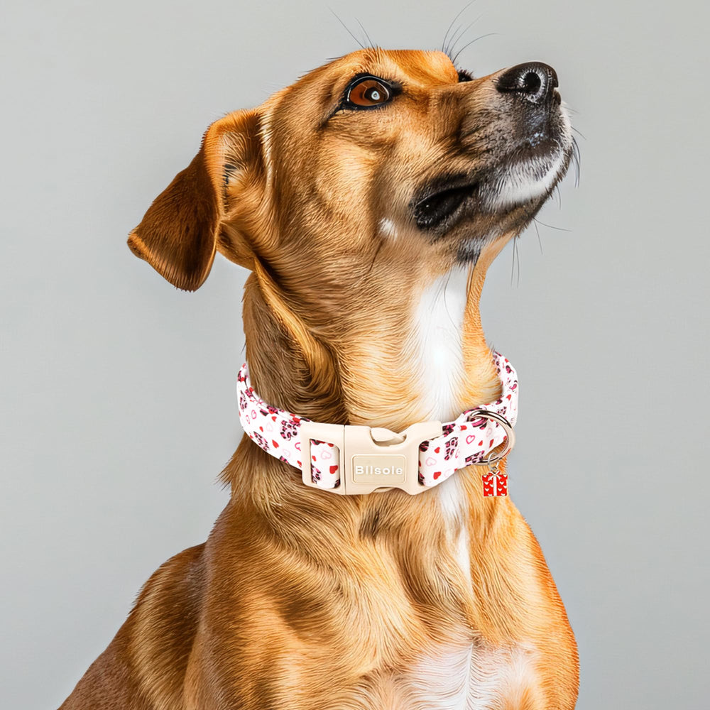 Bilsole collar diseño pensado para sesiones de fotos familiares.