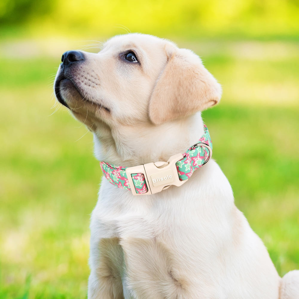 Bilsole talla S para perros pequeños con confort.