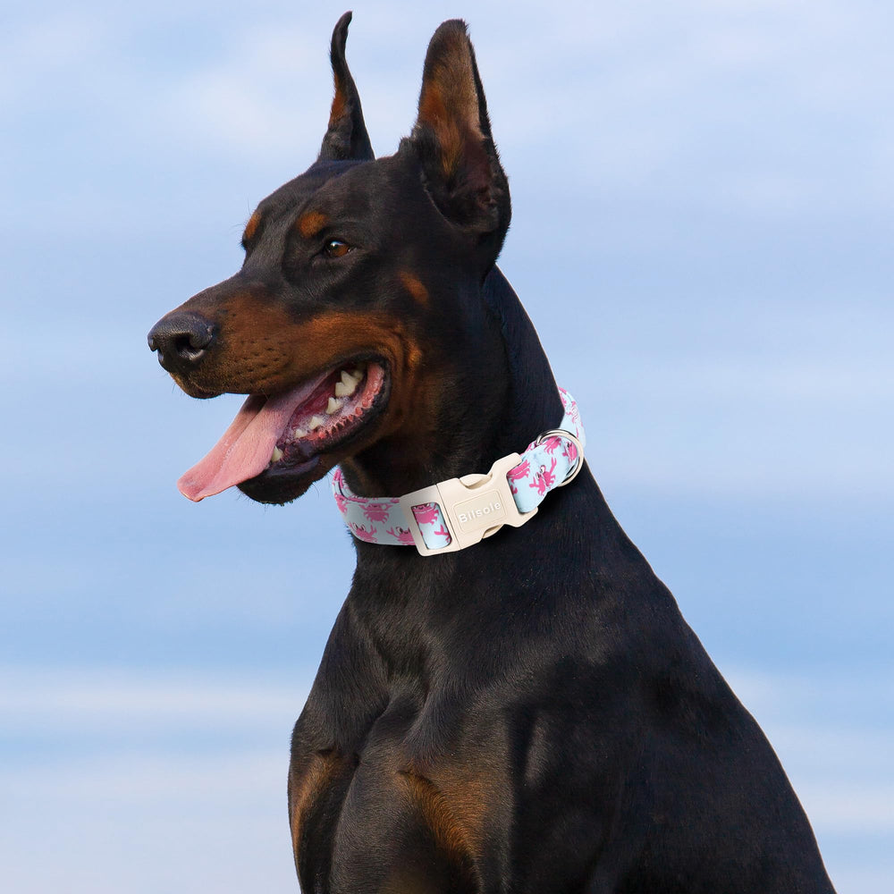 Collar Bilsole verano cangrejo: patrones con corazones para momentos de juego.