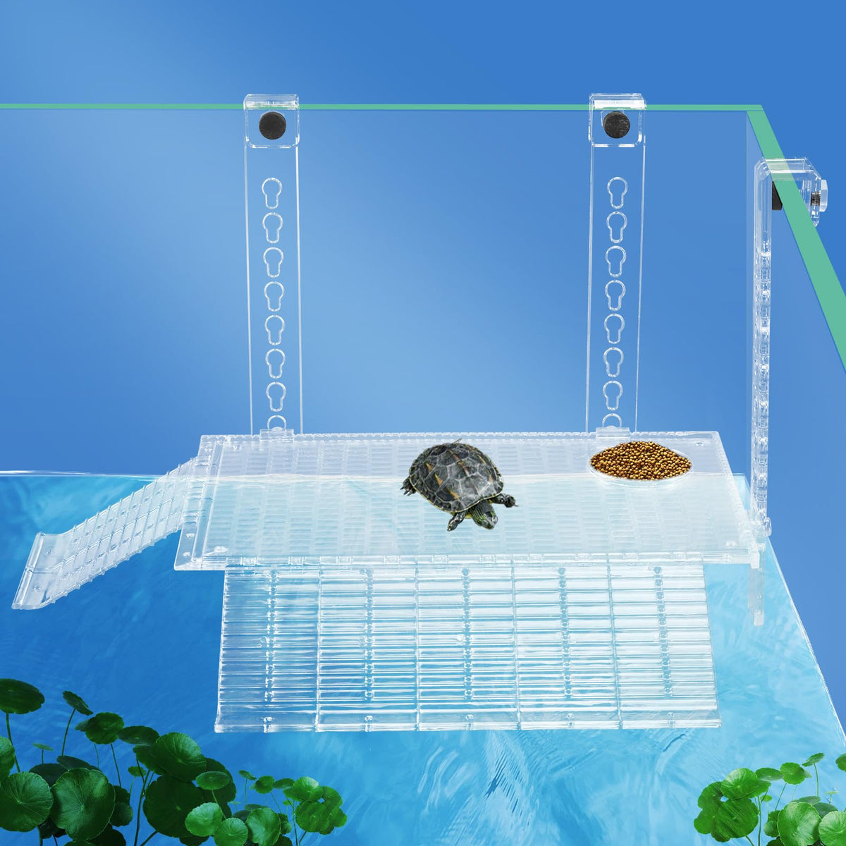 BINANO plataforma de descanso para tortugas, vista frontal, instalación rápida sin herramientas.