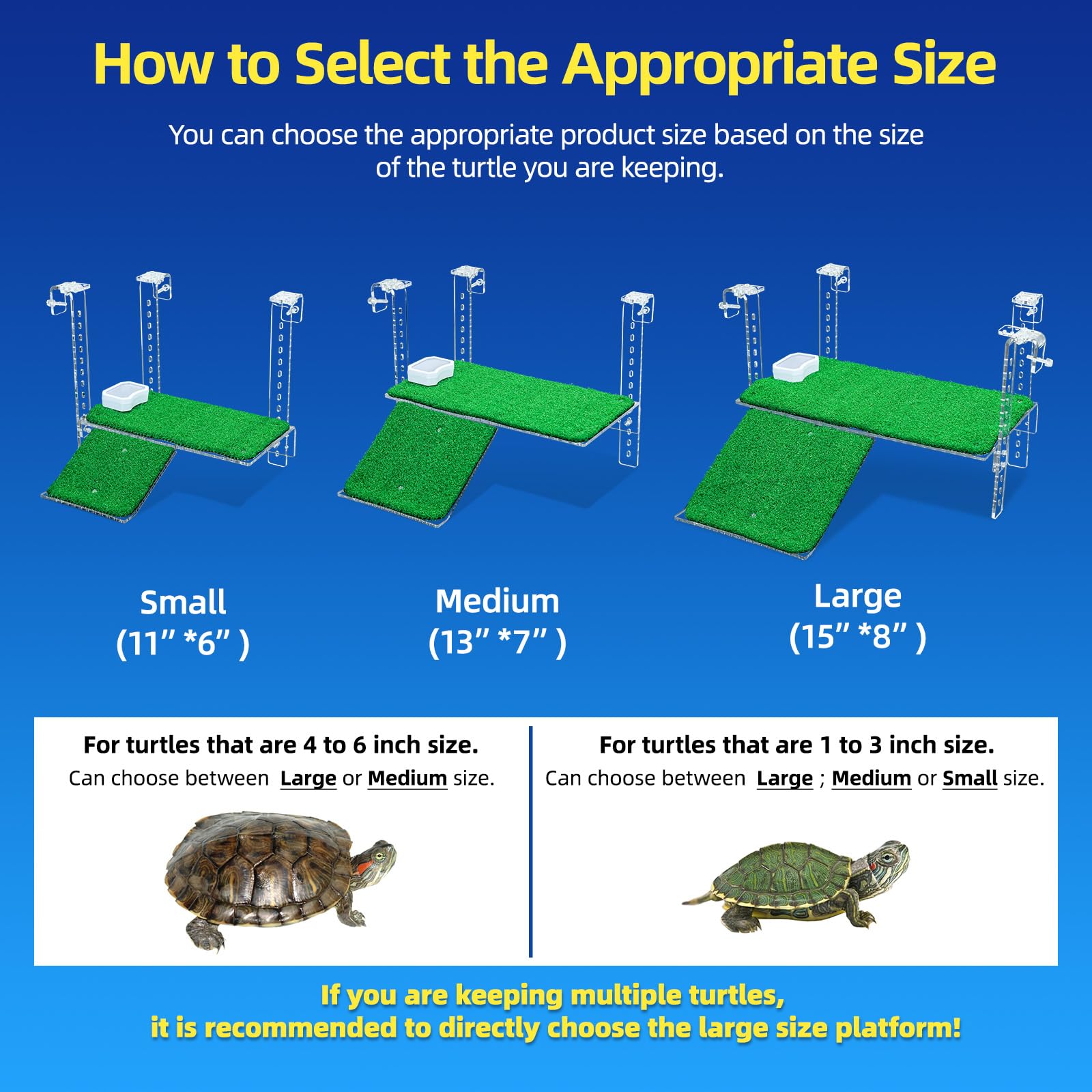 Binano rampa ajustable tortuga: acceso flexible a diferentes especies.