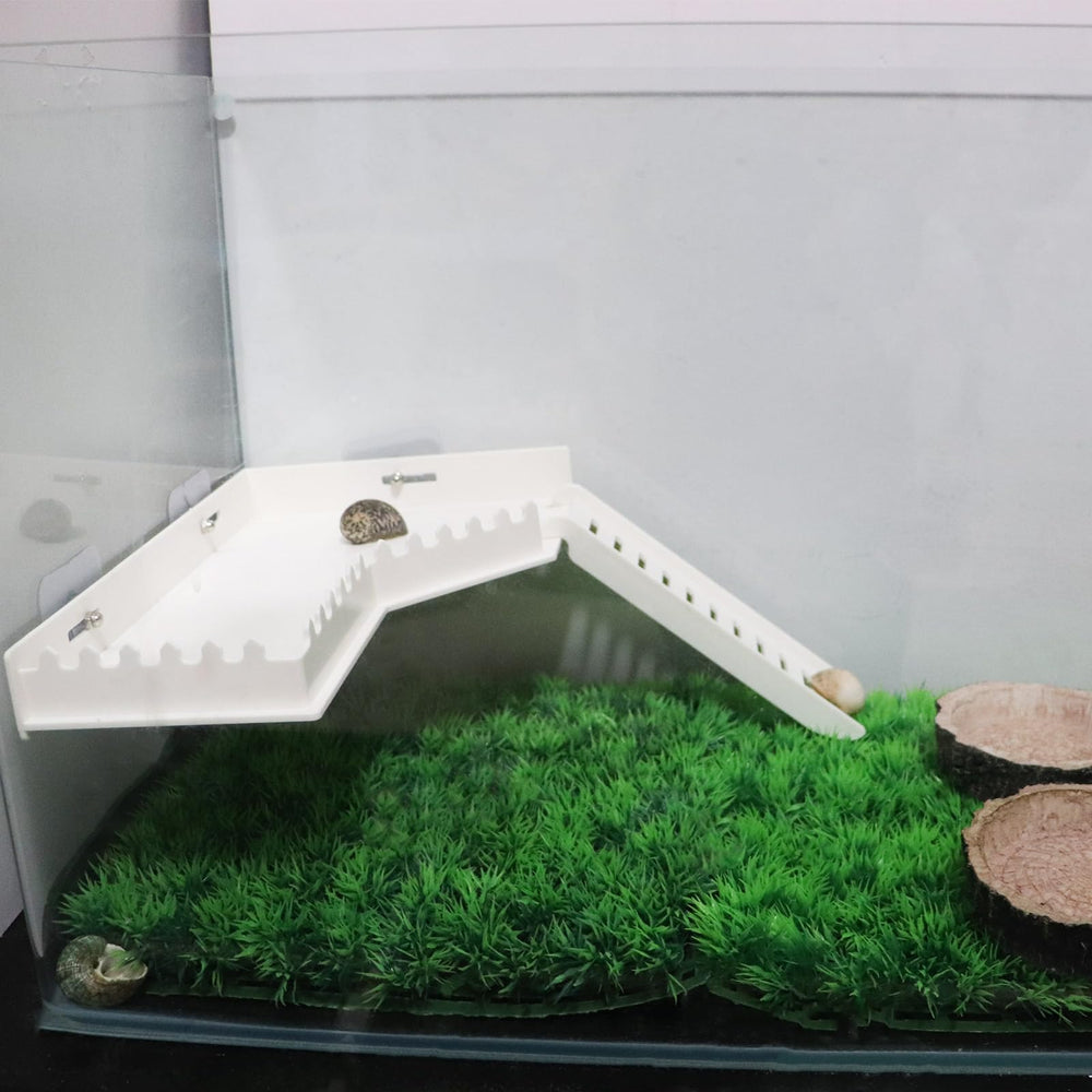 BingegePet diseño seguro para reptiles mini fomenta exploración sin complicaciones.