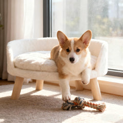 BingoPaw-silla-nordica-para-mascotas: asiento seguro para gatos y perros pequeños.