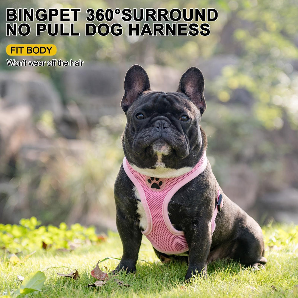 BINGPET ajuste XL para cuello y pecho de perros grandes