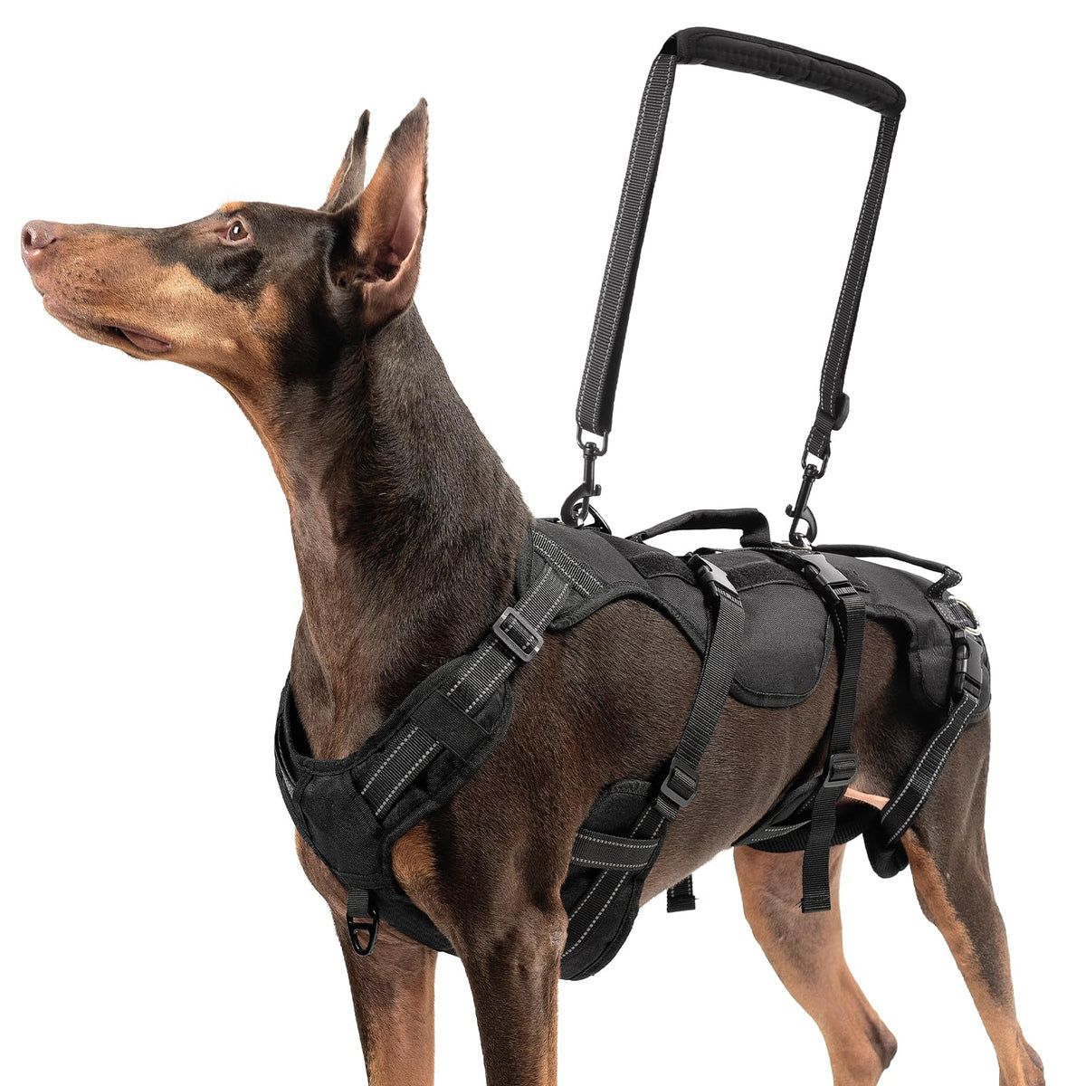 BINGPET arnés de elevación para perro grande: vista frontal con soporte total para movilidad.