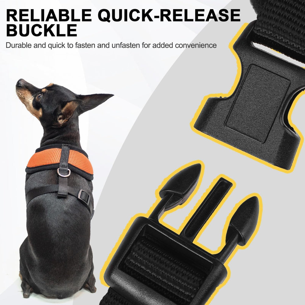 Confort 365 grados: envoltura suave para caminatas más largas.