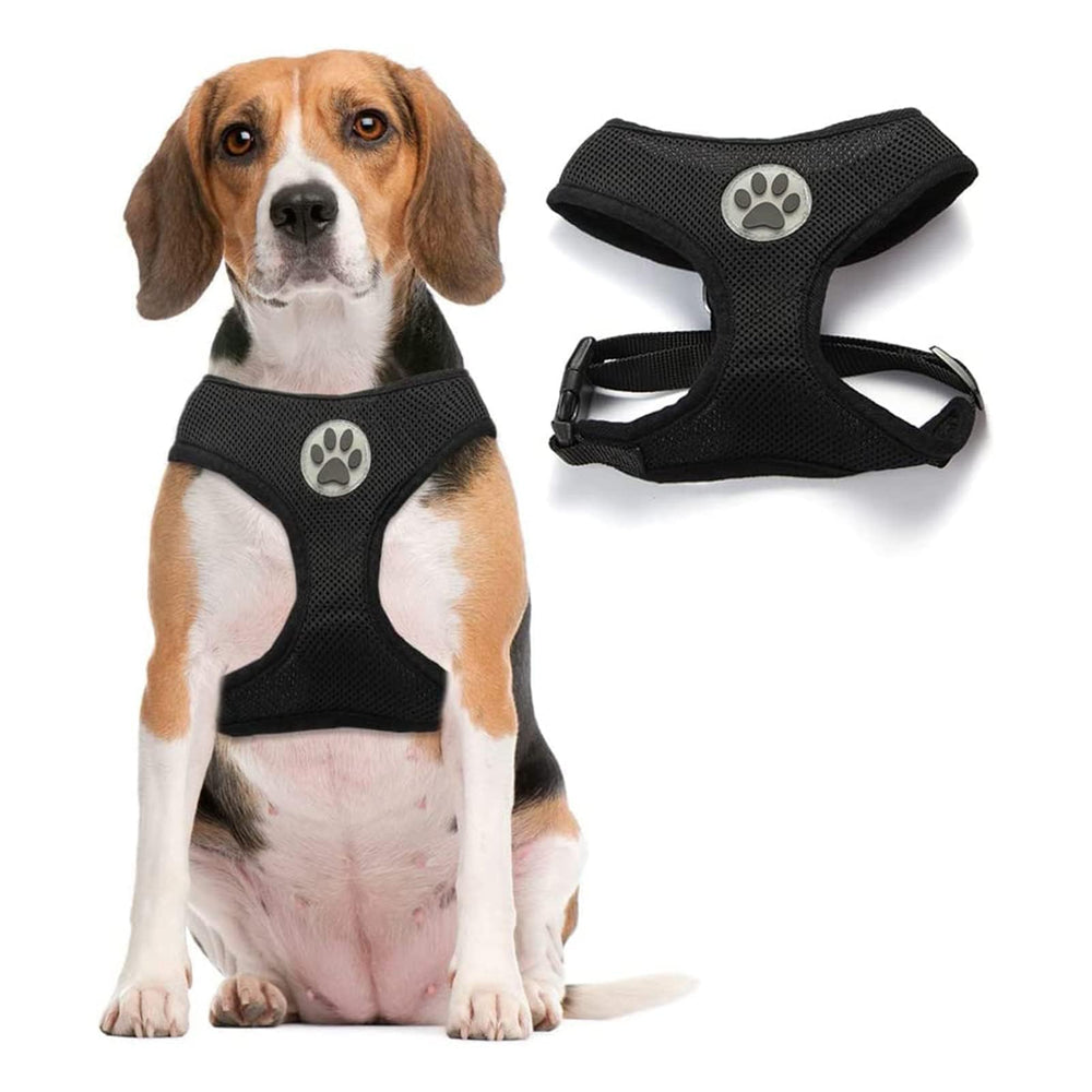 Arnés Bingpet para perro pequeño con malla transpirable para comodidad diaria.