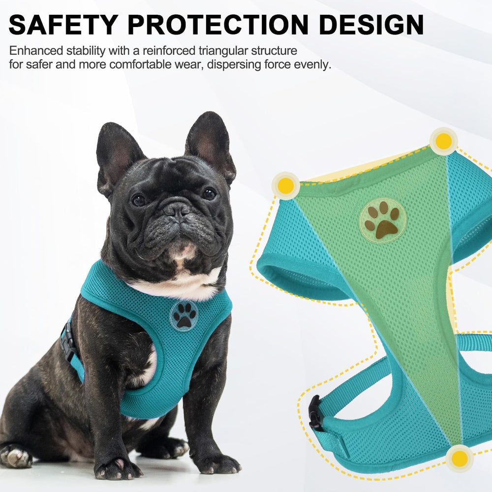 Arnés BINGPET con tallas ajustables para perros pequeños y medianos.