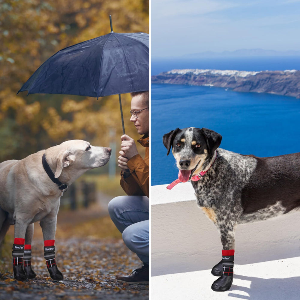 BINGPET diseño fácil de poner para sesiones de paseo rápidas.