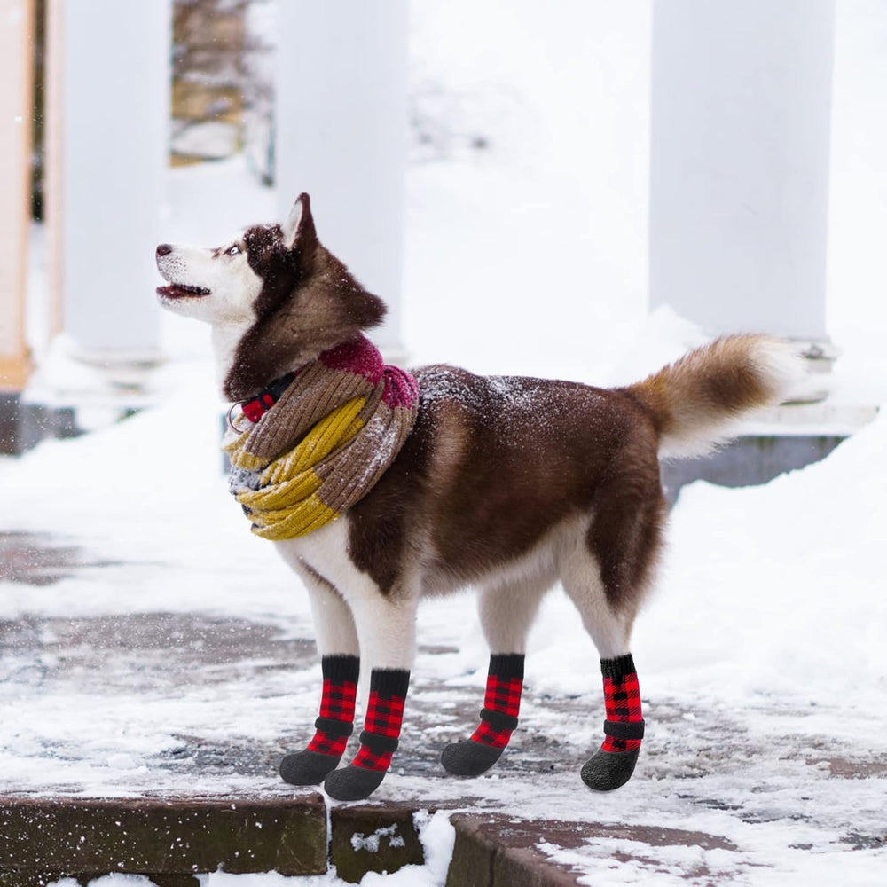 BingPet calcetines con correas ajustables para un ajuste seguro en las patitas