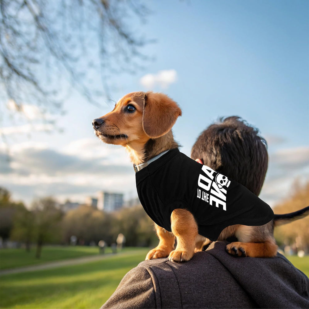 Camiseta BINGPET malo-hasta-el-hueso guía de tallas para encontrar la correcta.