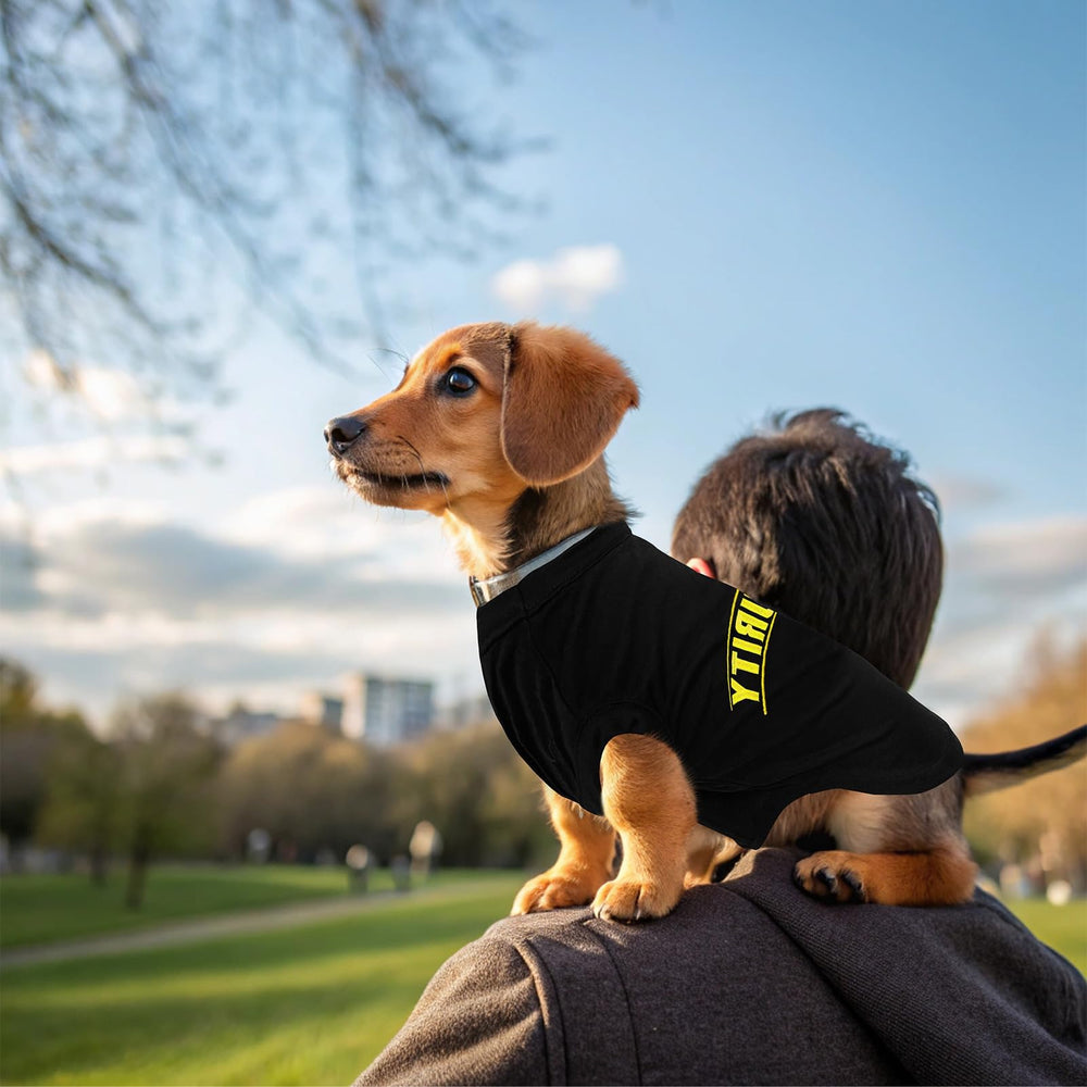 Camiseta BINGPET con ajuste elástico para comodidad