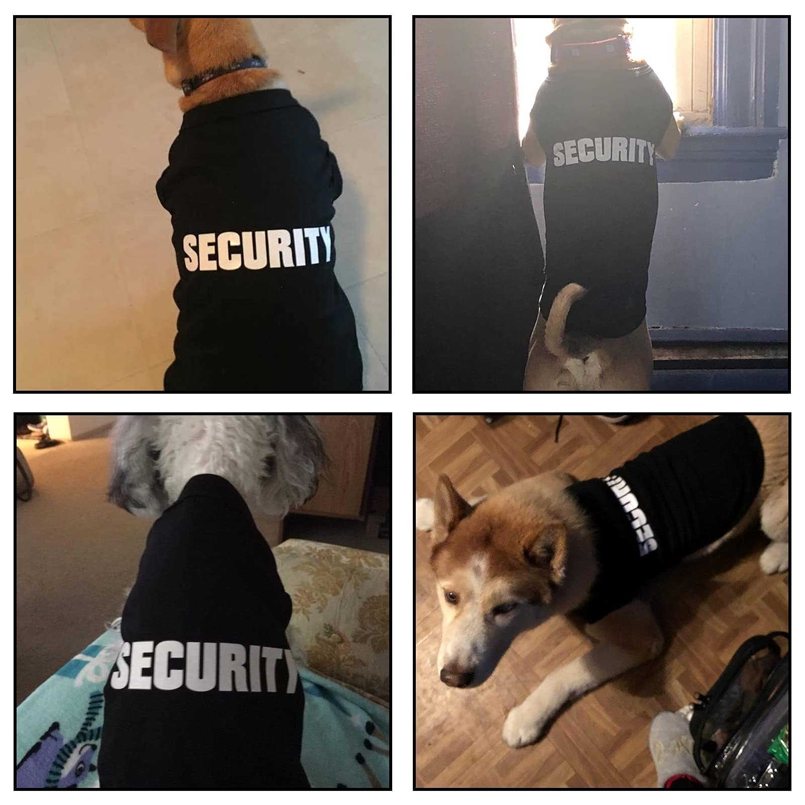 Camiseta BingPET, uso diario y festividades, ropa ligera para perros.