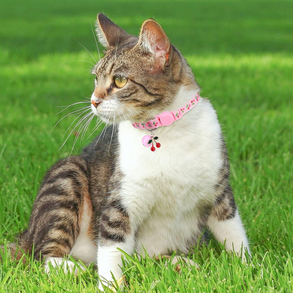 Collar BINGPET con cascabel fresa, diseño ligero para uso diario.