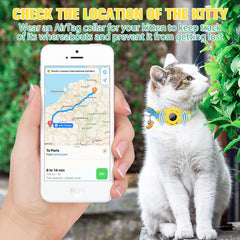 Diseño ergonómico de BingPet, collar elegante con colgante para gato.